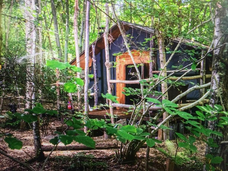 Cosy Woodland Romantic Retreat With Log Fires And Nature Sturry Екстер'єр фото