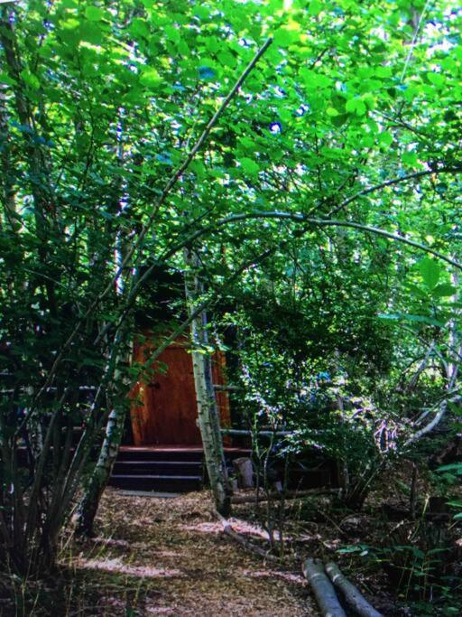 Cosy Woodland Romantic Retreat With Log Fires And Nature Sturry Екстер'єр фото