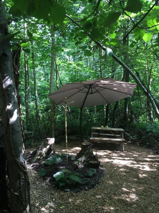 Cosy Woodland Romantic Retreat With Log Fires And Nature Sturry Екстер'єр фото