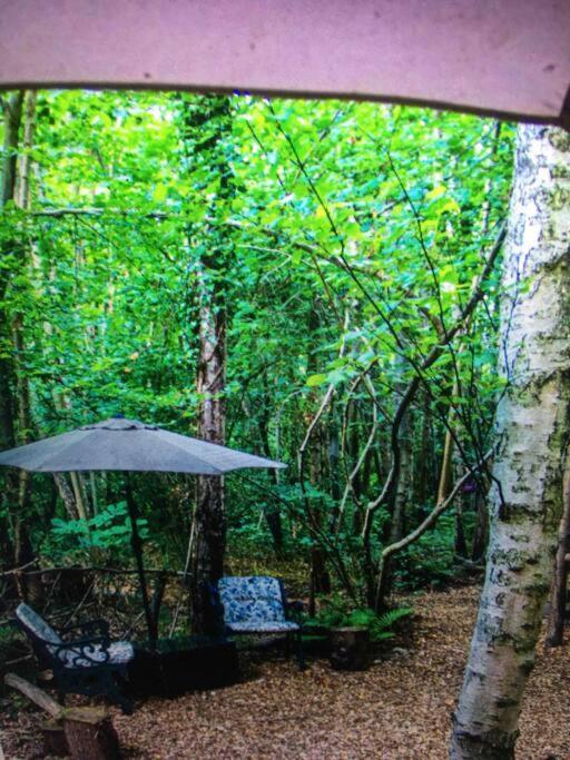 Cosy Woodland Romantic Retreat With Log Fires And Nature Sturry Екстер'єр фото