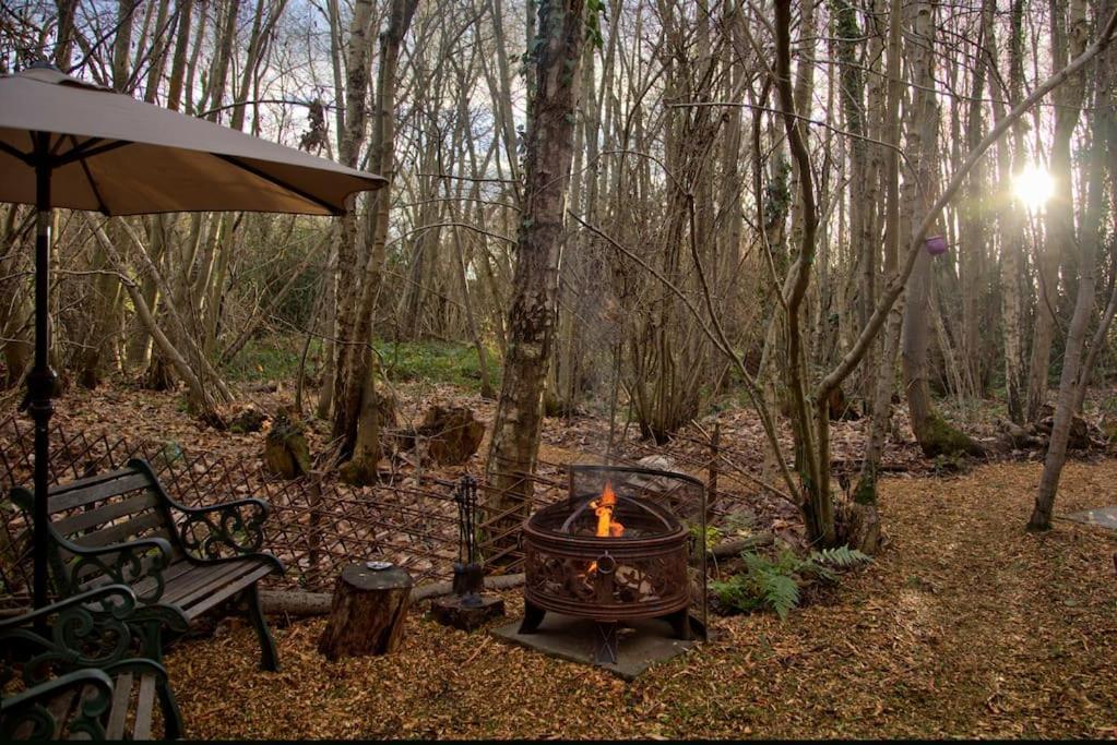 Cosy Woodland Romantic Retreat With Log Fires And Nature Sturry Екстер'єр фото